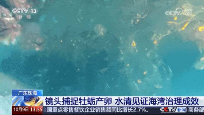 太阳成集团tyc9728