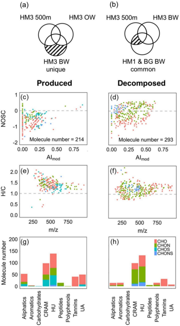 太阳成集团tyc9728